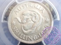 Australia 1959 Shilling PCGS MS66